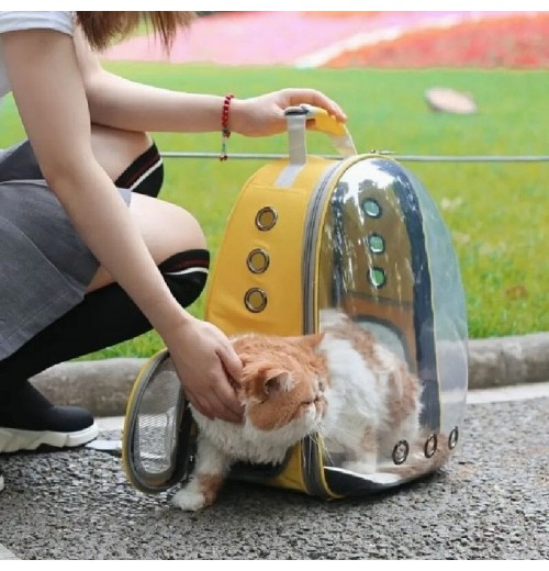 Cat Clear Backpack Cat Clear Backpack