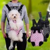 Carrier For Chihuahua Carrier For Chihuahua